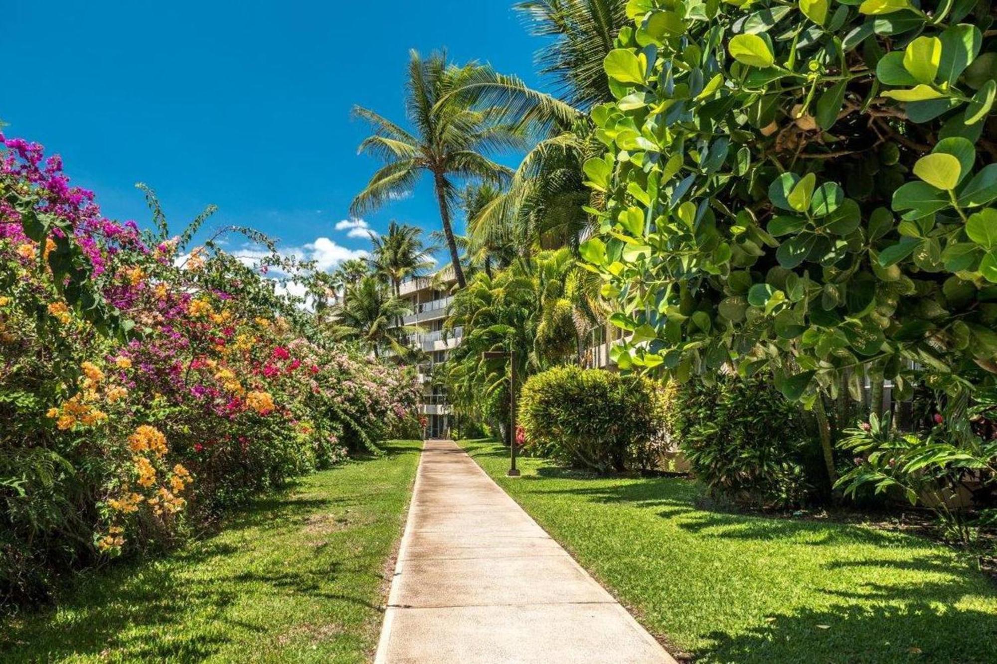 Maui Banyan Βίλα Wailea  Δωμάτιο φωτογραφία