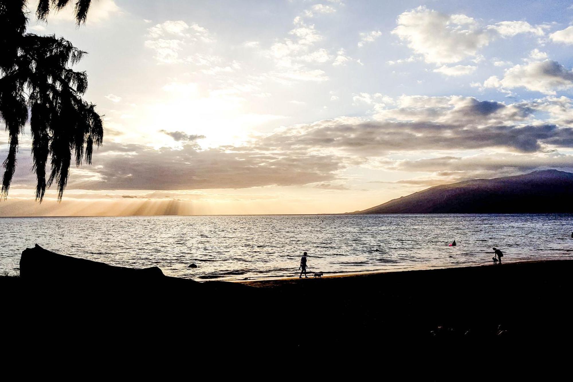 Maui Banyan Βίλα Wailea  Δωμάτιο φωτογραφία